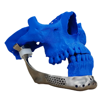 Facial Plastic and Reconstruction Surgery